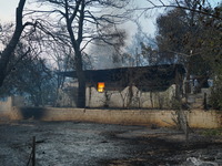 A house is burned  at Mount Parnitha. 22/8/23 (