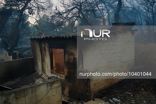 The storehouse of a house when it burns at mountain Parnitha 22/8/23 