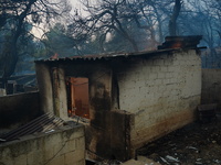 The storehouse of a house when it burns at mountain Parnitha 22/8/23 (