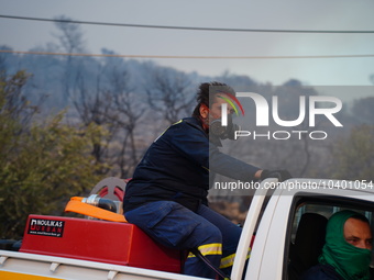 A fireman trying to extinguish the fire of the mountain Parnitha 22/8/23 (