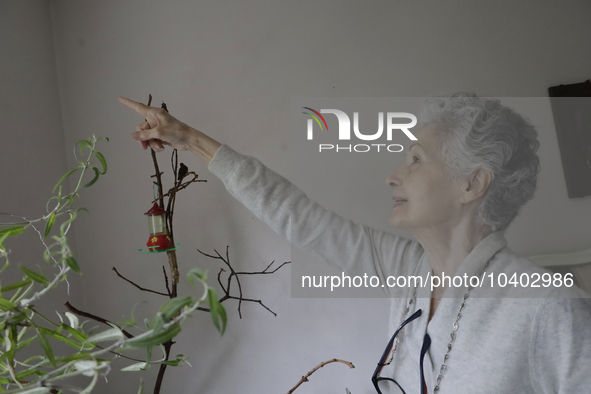 Catia Lattouf, health coucher, hummingbird rescuer and keeper, points to a hummingbird inside her apartment in Mexico City. 