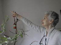 Catia Lattouf, health coucher, hummingbird rescuer and keeper, points to a hummingbird inside her apartment in Mexico City. (