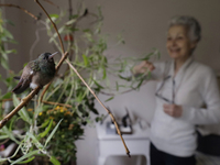 In the background, Catia Lattouf, health coucher, rescuer and hummingbird keeper, inside her apartment in Mexico City. (