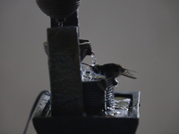 A hummingbird bathes in a fountain installed by Catia Lattouf, health coach, rescuer and hummingbird keeper, inside her apartment in Mexico...