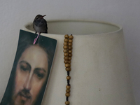 A hummingbird on a lamp together with the image of Jesus Christ and a rosary inside the apartment of Catia Lattouf, health coach, rescuer an...