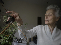 Catia Lattouf, health coucher, hummingbird rescuer and keeper, feeds hummingbirds inside her apartment in Mexico City. (