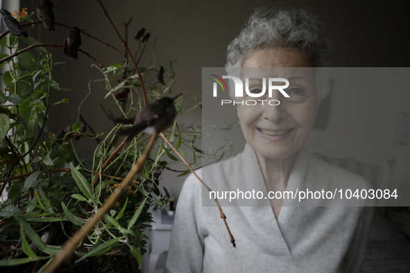 Catia Lattouf, health coucher, hummingbird rescuer and keeper, feeds hummingbirds inside her apartment in Mexico City. 