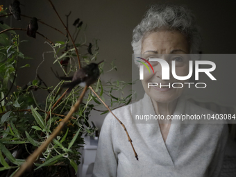 Catia Lattouf, health coucher, hummingbird rescuer and keeper, feeds hummingbirds inside her apartment in Mexico City. (