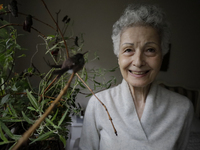 Catia Lattouf, health coucher, hummingbird rescuer and keeper, feeds hummingbirds inside her apartment in Mexico City. (