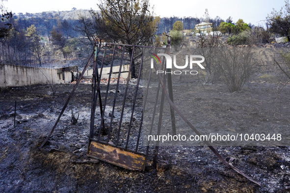 

The door from the yard of a house destroyed by fire on Mount Parnitha in Athens, Greece, on  August 23, 2023 