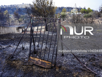 

The door from the yard of a house destroyed by fire on Mount Parnitha in Athens, Greece, on  August 23, 2023 (