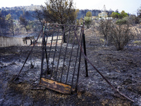 

The door from the yard of a house destroyed by fire on Mount Parnitha in Athens, Greece, on  August 23, 2023 (