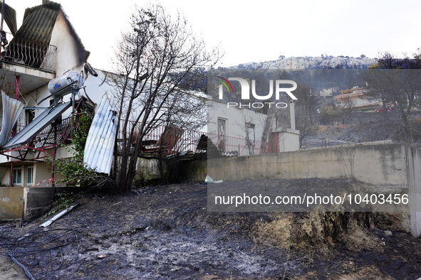 Destroyed houses from the fire on Mount Parnitha in Athens, Greece, on August 23, 2023 