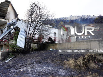 Destroyed houses from the fire on Mount Parnitha in Athens, Greece, on August 23, 2023 (