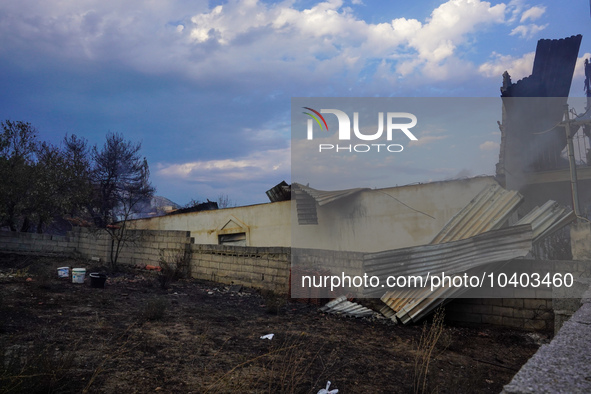 Destroyed houses from the fire on Mount Parnitha in Athens, Greece, on August 23, 2023 