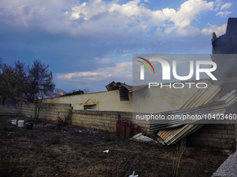 Destroyed houses from the fire on Mount Parnitha in Athens, Greece, on August 23, 2023 (