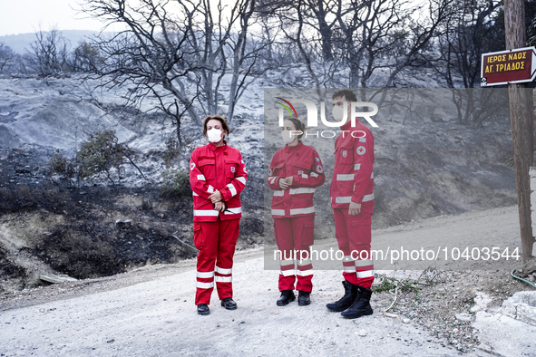 Members of the Red Cross are helping the residents of Mount Parnitha in Athens, Greece, on  August 23, 2023 