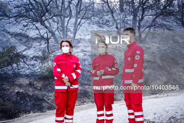 Members of the Red Cross are helping the residents of Mount Parnitha in Athens, Greece, on  August 23, 2023 