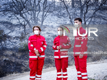 Members of the Red Cross are helping the residents of Mount Parnitha in Athens, Greece, on  August 23, 2023 (