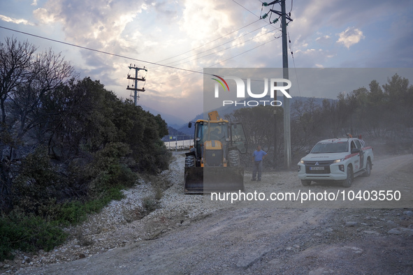 A bulldozer and a car from a private firefighting company are acting in the field of the fire on Mount Parnitha in Athens, Greece, on  Augus...