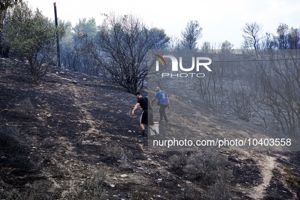 Residents are trying to extinguish the fire at Mount Parnitha, Greece, August 23, 2023 