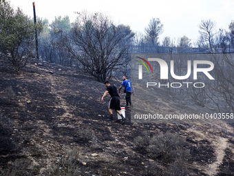 Residents are trying to extinguish the fire at Mount Parnitha, Greece, August 23, 2023 (