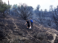 Residents are trying to extinguish the fire at Mount Parnitha, Greece, August 23, 2023 (