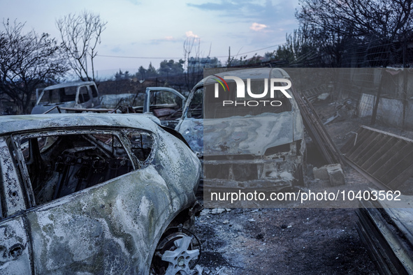 Burning cars are being destroyed by the fire on Mount Parnitha in Athens, Greece, on August 23, 2023 