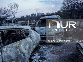 Burning cars are being destroyed by the fire on Mount Parnitha in Athens, Greece, on August 23, 2023 (