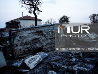 A house is being destroyed by fire on Mount Parnitha in Athens, Greece, on August 23, 2023 (