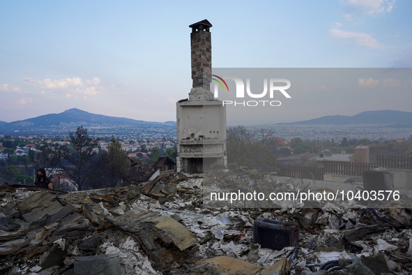 A fireplace remains of a house destroyed by wildfire on Mount Parnita, Greece, on August 23, 2023 