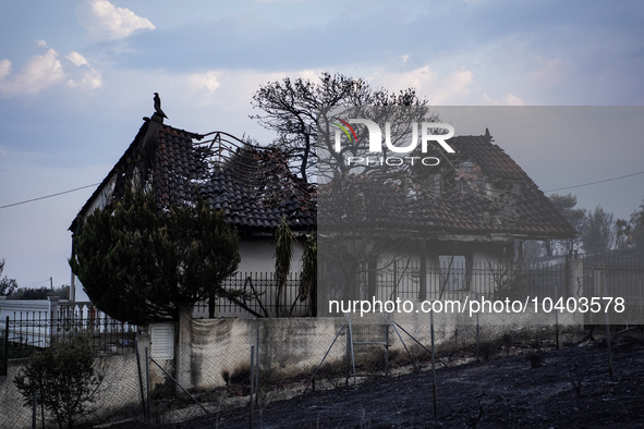 A totally destroyed house by the wildfire on Mount Parnitha in Athens, Greece, on August 23, 2023 