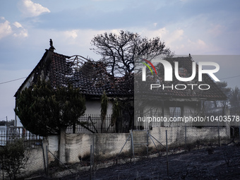 A totally destroyed house by the wildfire on Mount Parnitha in Athens, Greece, on August 23, 2023 (