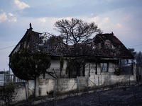 A totally destroyed house by the wildfire on Mount Parnitha in Athens, Greece, on August 23, 2023 (