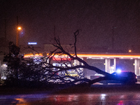 ROYAL OAK, MI - AUGUST 24, 2023: After a severe thunderstorm that included a tornado warning rolled through Metro-Detroit, Royal Oak, MI saw...