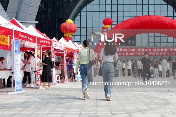 HANDAN, CHINA - AUGUST 25, 2023 - Many college graduates learn about recruitment information at a summer recruitment fair for college studen...