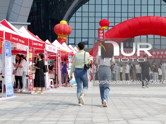 HANDAN, CHINA - AUGUST 25, 2023 - Many college graduates learn about recruitment information at a summer recruitment fair for college studen...