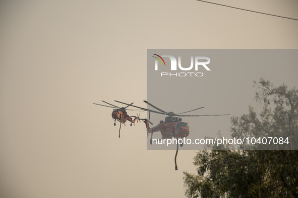 A wildfire raging on the outskirts to the northwest of Athens, Greece, has destroyed residences and currently poses a danger to the core of...