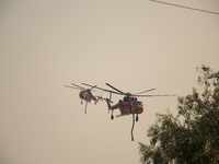 A wildfire raging on the outskirts to the northwest of Athens, Greece, has destroyed residences and currently poses a danger to the core of...