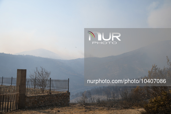 A wildfire raging on the outskirts to the northwest of Athens, Greece, has destroyed residences and currently poses a danger to the core of...