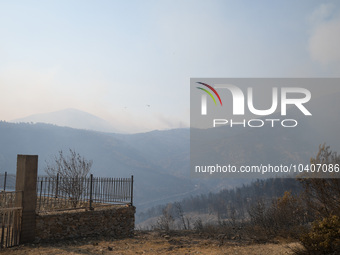 A wildfire raging on the outskirts to the northwest of Athens, Greece, has destroyed residences and currently poses a danger to the core of...