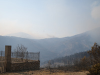 A wildfire raging on the outskirts to the northwest of Athens, Greece, has destroyed residences and currently poses a danger to the core of...