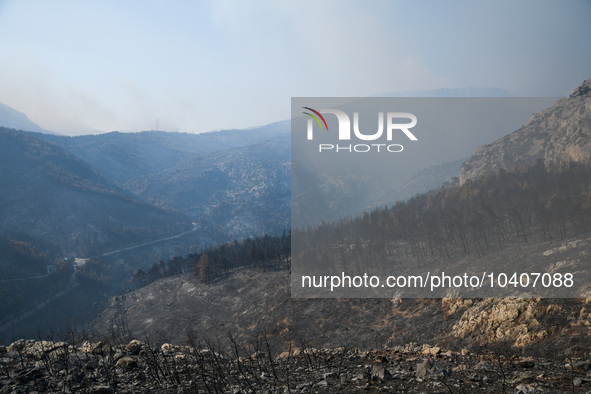 A wildfire raging on the outskirts to the northwest of Athens, Greece, has destroyed residences and currently poses a danger to the core of...