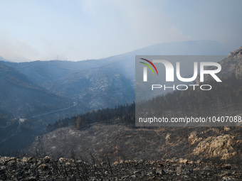 A wildfire raging on the outskirts to the northwest of Athens, Greece, has destroyed residences and currently poses a danger to the core of...