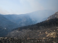 A wildfire raging on the outskirts to the northwest of Athens, Greece, has destroyed residences and currently poses a danger to the core of...