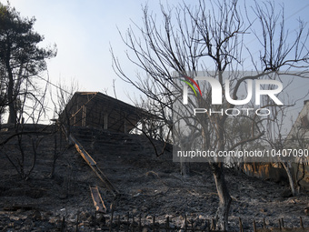 A wildfire raging on the outskirts to the northwest of Athens, Greece, has destroyed residences and currently poses a danger to the core of...