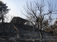 A wildfire raging on the outskirts to the northwest of Athens, Greece, has destroyed residences and currently poses a danger to the core of...