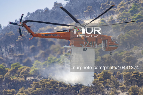 Mount Parnitha wildfire at the outskirts of Athens with visible smoke after the catastrophic blaze, resulting in an environmental disaster,...