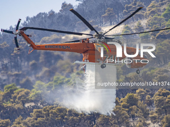 Mount Parnitha wildfire at the outskirts of Athens with visible smoke after the catastrophic blaze, resulting in an environmental disaster,...