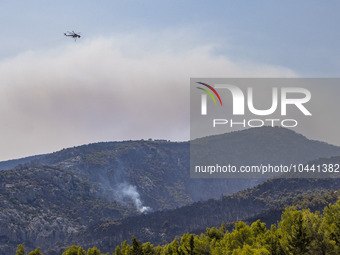 Mount Parnitha wildfire at the outskirts of Athens with visible smoke after the catastrophic blaze, resulting in an environmental disaster,...